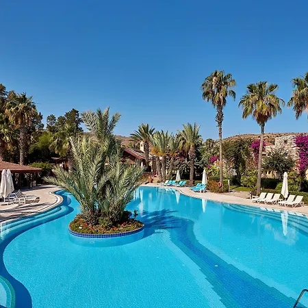 리조트 Divan Bodrum Palmira