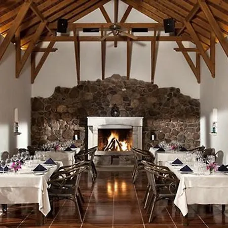 리조트 Divan Bodrum Palmira